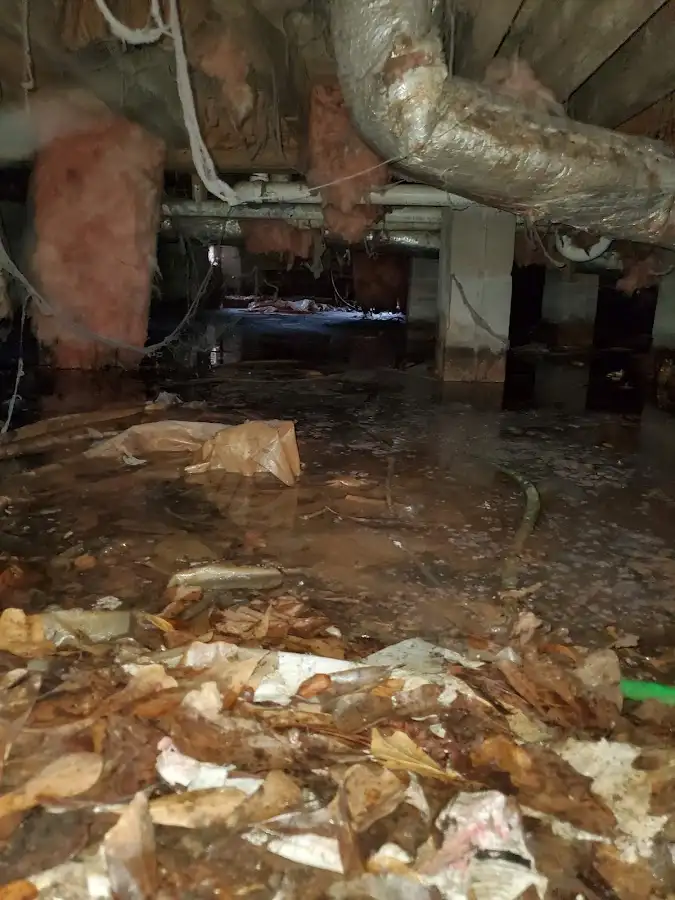 Crawl space flood assessment for Leak Detection & Repair in Fate